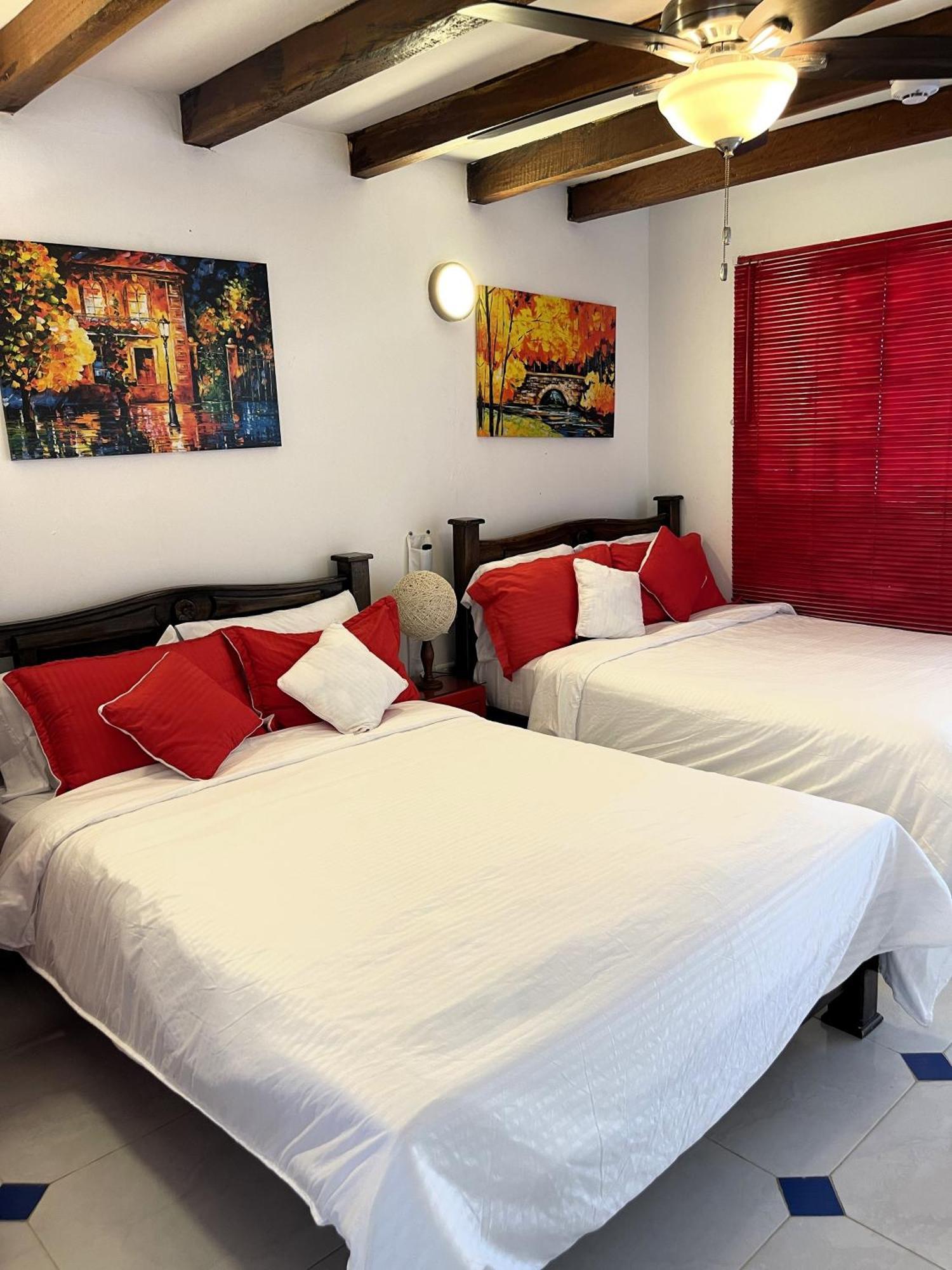 Hostal Paraiso מינקה מראה חיצוני תמונה